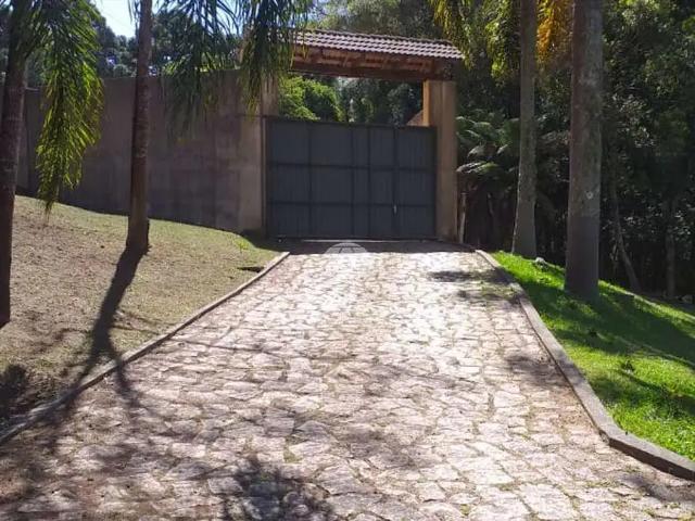 Sítio e chácara venda em Accioli, São José dos Pinhais