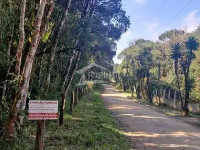 Sítio e chácara venda em Região Geográfica Imediata de Curitiba, Região Metropolitana de Curitiba
