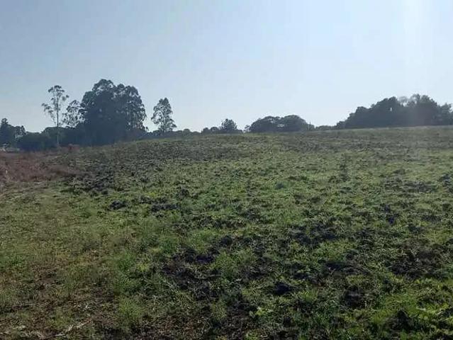 Sítio e chácara venda em Região Geográfica Imediata de Curitiba, Região Metropolitana de Curitiba