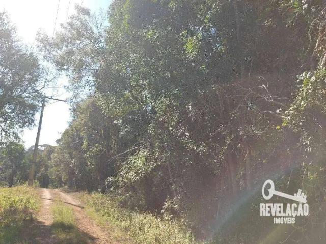 Sítio e chácara venda em Região Geográfica Imediata de Curitiba, Região Metropolitana de Curitiba