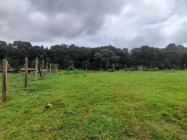 Sítio e chácara venda em Região Geográfica Imediata de Curitiba, Região Metropolitana de Curitiba