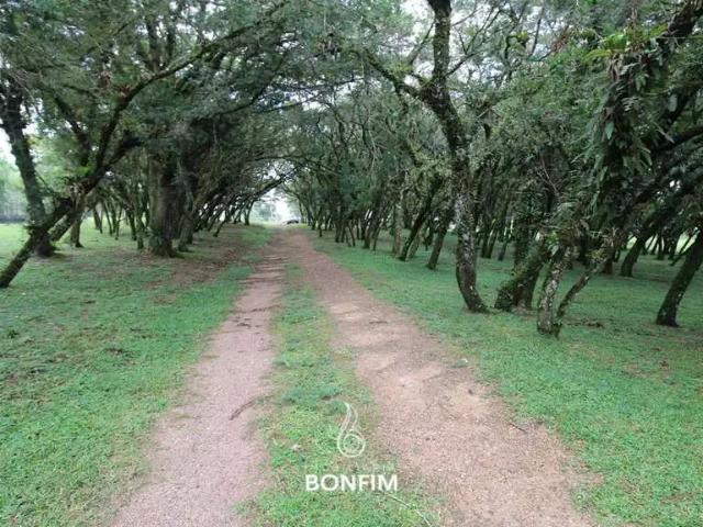 Sítio e chácara venda em Região Geográfica Imediata de Curitiba, Região Metropolitana de Curitiba