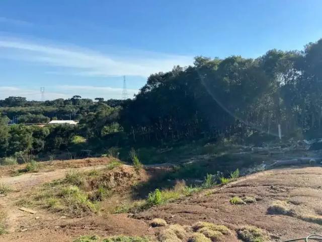 Sítio e chácara venda em Região Geográfica Imediata de Curitiba, Região Metropolitana de Curitiba