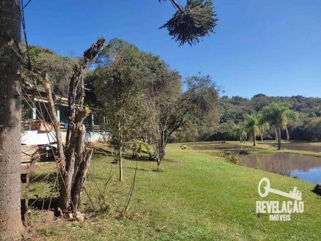 Sítio e chácara venda em Região Geográfica Imediata de Curitiba, Região Metropolitana de Curitiba