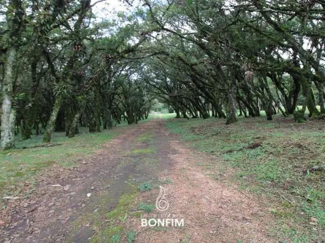 Sítio e chácara venda em Região Geográfica Imediata de Curitiba, Região Metropolitana de Curitiba