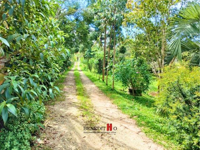 Sítio e chácara venda em Região Geográfica Imediata de Curitiba, Região Metropolitana de Curitiba