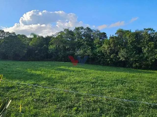 Sítio e chácara venda em Região Geográfica Imediata de Curitiba, Região Metropolitana de Curitiba