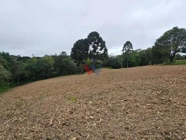 Sítio e chácara venda em Região Geográfica Imediata de Curitiba, Região Metropolitana de Curitiba