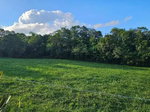Sítio e chácara venda em Região Geográfica Imediata de Curitiba, Região Metropolitana de Curitiba