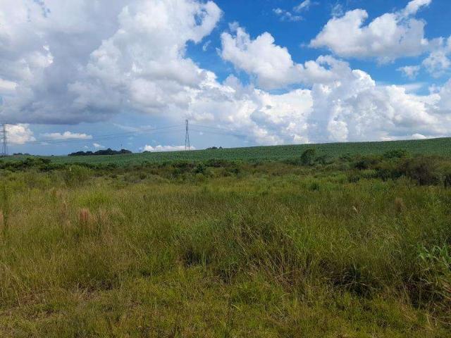 Sítio e chácara venda em Região Geográfica Imediata de Curitiba, Região Metropolitana de Curitiba