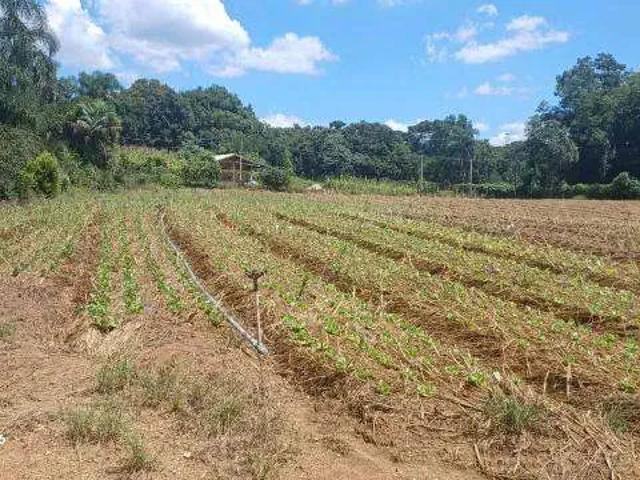 Sítio e chácara venda em Região Geográfica Imediata de Curitiba, Região Metropolitana de Curitiba