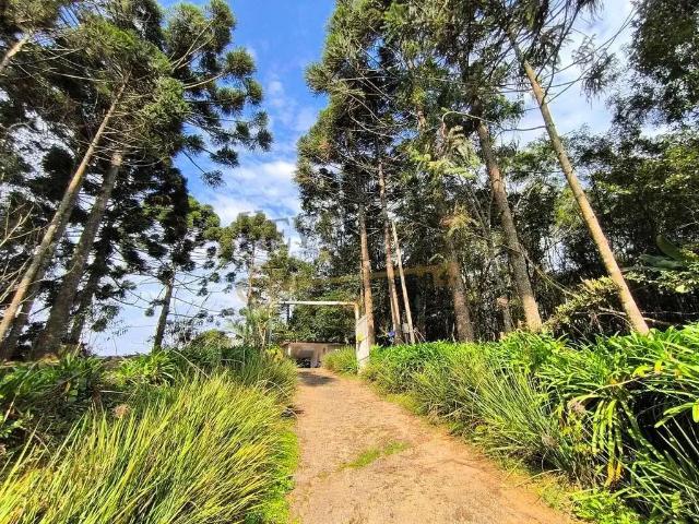 Sítio e chácara venda em Região Geográfica Imediata de Curitiba, Região Metropolitana de Curitiba