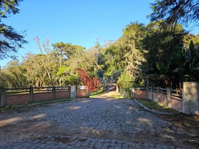 Sítio e chácara venda em São José dos Pinhais, Região Geográfica Intermediária de Curitiba
