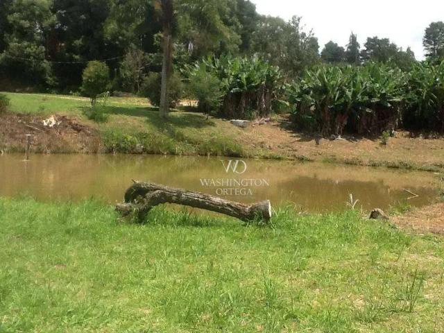 Sítio e chácara venda em Região Geográfica Imediata de Curitiba, Região Metropolitana de Curitiba