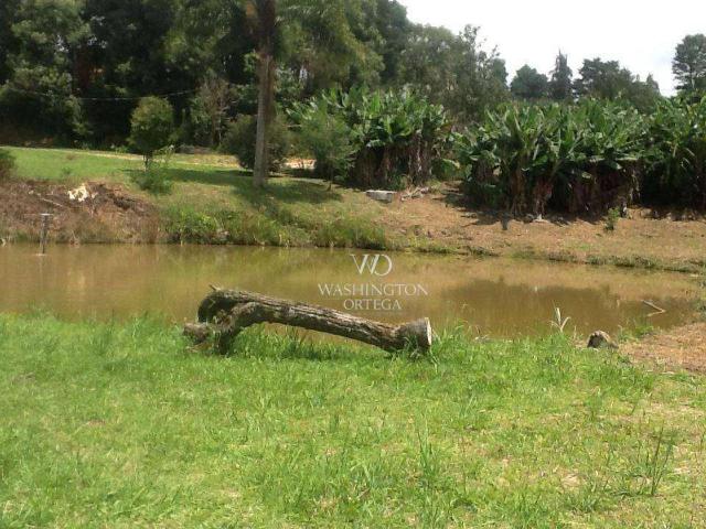 Sítio e chácara venda em Região Geográfica Imediata de Curitiba, Região Metropolitana de Curitiba