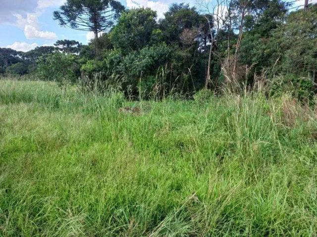 Sítio e chácara venda em Região Geográfica Imediata de Curitiba, Região Metropolitana de Curitiba