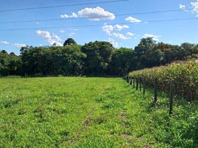 Sítio e chácara venda em Região Geográfica Imediata de Curitiba, Região Metropolitana de Curitiba