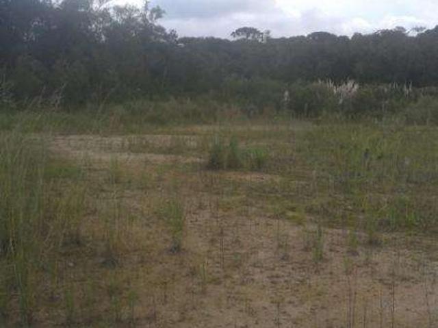 Sítio e chácara venda em Região Geográfica Imediata de Curitiba, Região Metropolitana de Curitiba