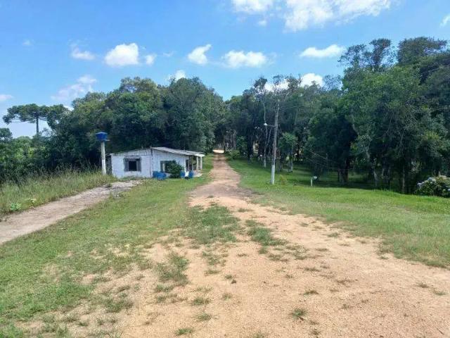 Sítio e chácara venda em Região Geográfica Imediata de Curitiba, Região Metropolitana de Curitiba