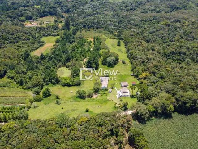 Sítio e chácara venda em Região Geográfica Imediata de Curitiba, Região Metropolitana de Curitiba