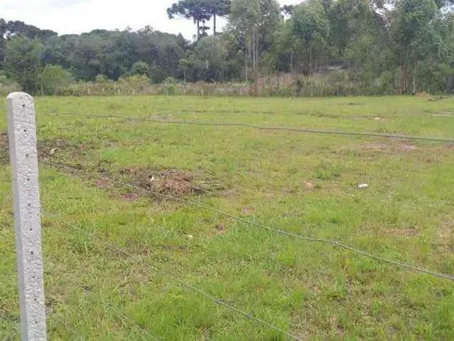 Sítio e chácara venda em São Pedro, São José dos Pinhais
