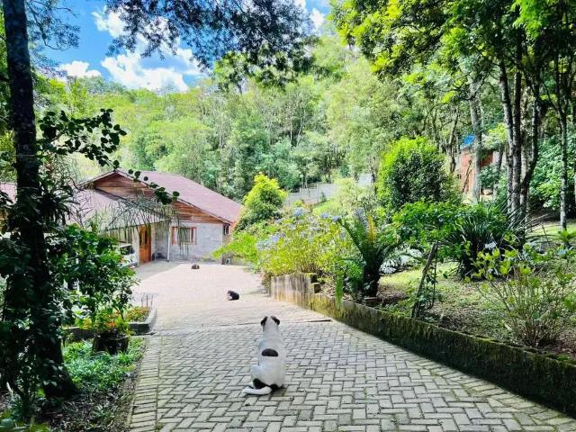 Sítio e chácara venda em Região Geográfica Imediata de Curitiba, Região Metropolitana de Curitiba