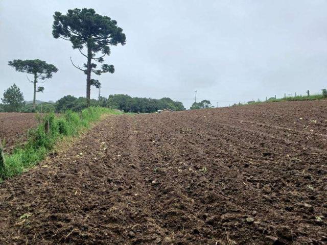 Sítio e chácara venda em Região Geográfica Imediata de Curitiba, Região Metropolitana de Curitiba