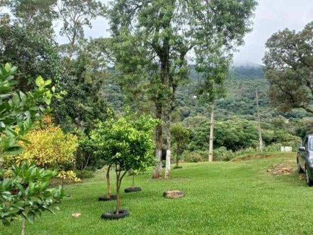 Sítio e chácara venda em Malhada, São José dos Pinhais