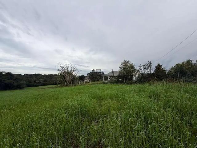 Sítio e chácara venda em Região Geográfica Imediata de Curitiba, Região Metropolitana de Curitiba