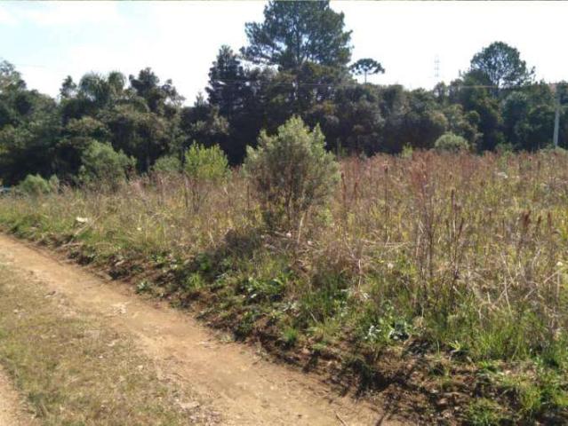 Sítio e chácara venda em Região Geográfica Imediata de Curitiba, Região Metropolitana de Curitiba