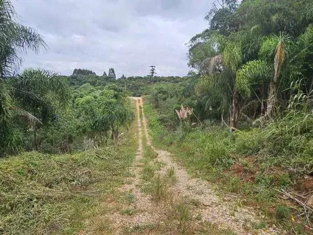 Sítio e chácara venda em Região Geográfica Imediata de Curitiba, Região Metropolitana de Curitiba