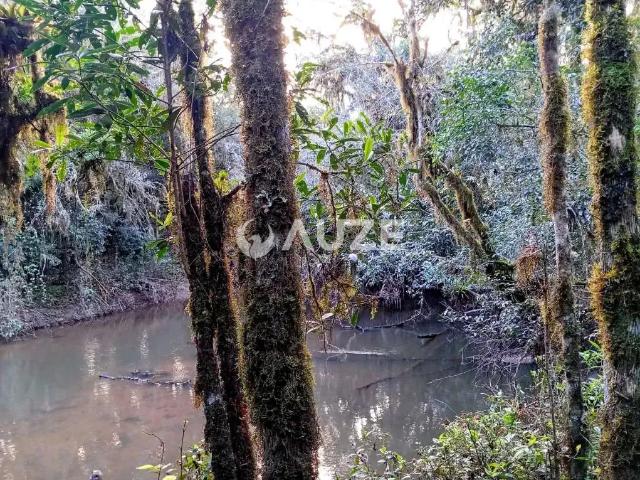 Sítio e chácara venda em Região Geográfica Imediata de Curitiba, Região Metropolitana de Curitiba