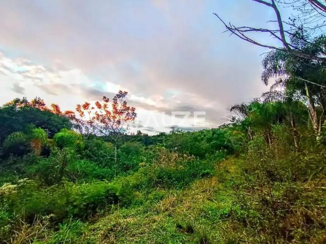 Sítio e chácara venda em Região Geográfica Imediata de Curitiba, Região Metropolitana de Curitiba