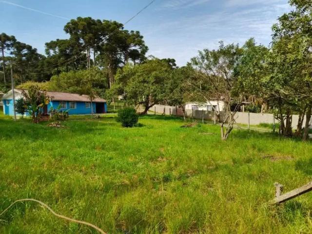 Sítio e chácara venda em Região Geográfica Imediata de Curitiba, Região Metropolitana de Curitiba