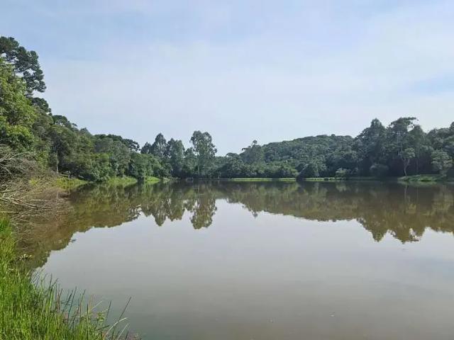 Sítio e chácara venda em Região Geográfica Imediata de Curitiba, Região Metropolitana de Curitiba