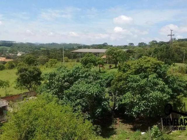 Sítio e chácara venda em Região Geográfica Imediata de Curitiba, Região Metropolitana de Curitiba