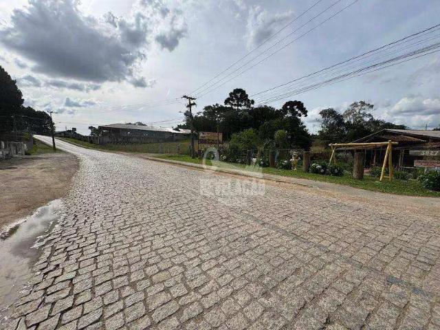 Sítio e chácara venda em Região Geográfica Imediata de Curitiba, Região Metropolitana de Curitiba