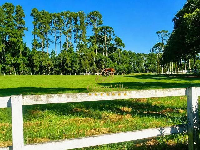 Sítio e chácara venda em Região Geográfica Imediata de Curitiba, Região Metropolitana de Curitiba