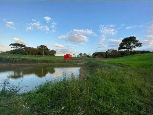 Sítio e chácara venda em Região Geográfica Imediata de Curitiba, Região Metropolitana de Curitiba