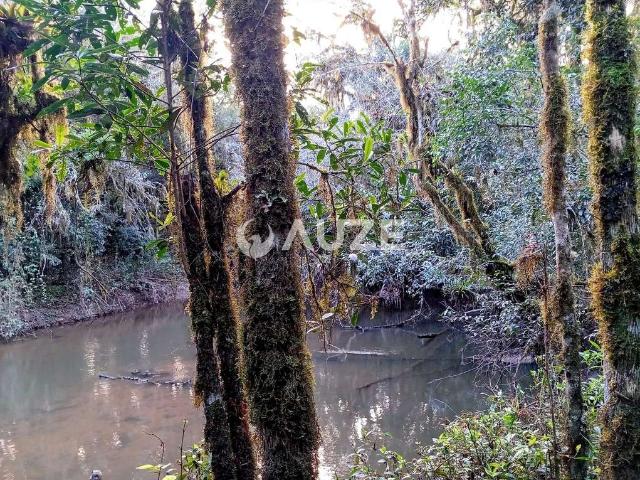 Sítio e chácara venda em Região Geográfica Imediata de Curitiba, Região Metropolitana de Curitiba