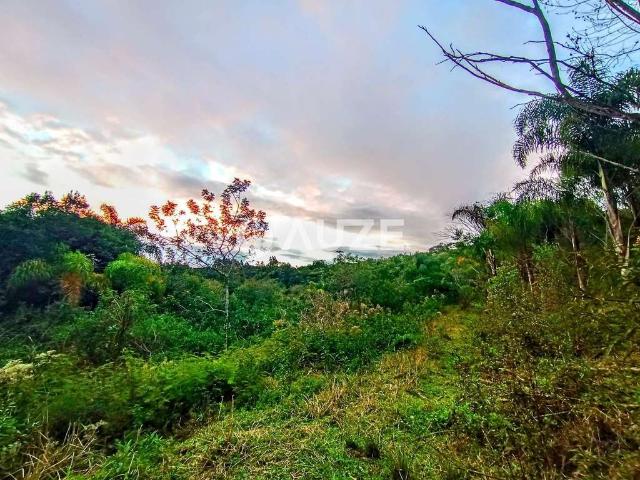 Sítio e chácara venda em Região Geográfica Imediata de Curitiba, Região Metropolitana de Curitiba