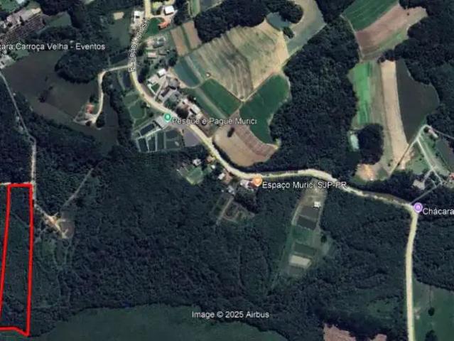 Sítio e chácara venda em Região Geográfica Imediata de Curitiba, Região Metropolitana de Curitiba