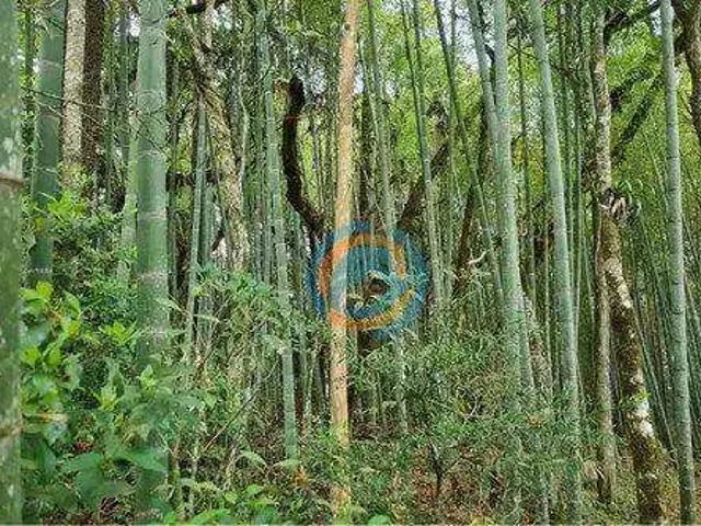 Sítio e chácara venda em Região Geográfica Imediata de Curitiba, Região Metropolitana de Curitiba