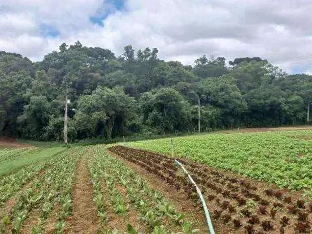 Sítio e chácara venda em Região Geográfica Imediata de Curitiba, Região Metropolitana de Curitiba
