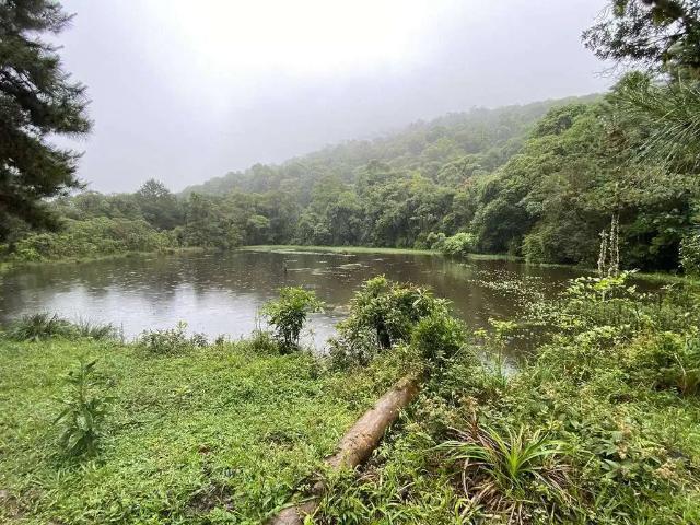 Sítio e chácara venda em Região Geográfica Imediata de Curitiba, Região Metropolitana de Curitiba
