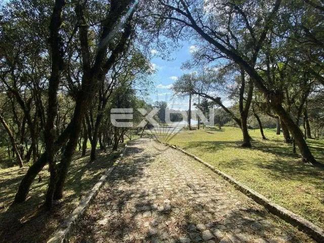 Sítio e chácara venda em Região Geográfica Imediata de Curitiba, Região Metropolitana de Curitiba