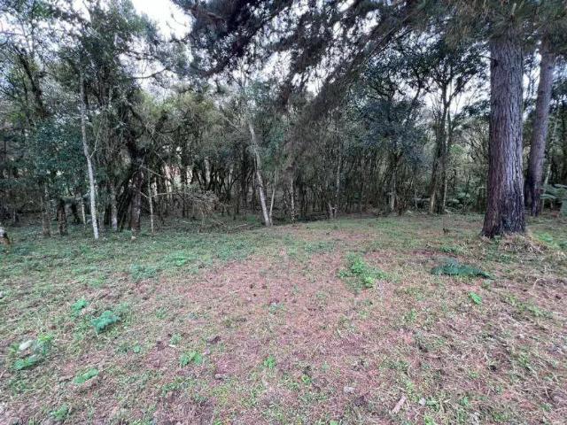 Sítio e chácara venda em Região Geográfica Imediata de Curitiba, Região Metropolitana de Curitiba