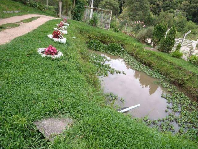 Sítio e chácara venda em Região Geográfica Imediata de Curitiba, Região Metropolitana de Curitiba