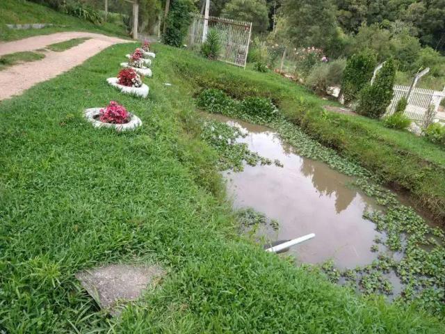 Sítio e chácara venda em Região Geográfica Imediata de Curitiba, Região Metropolitana de Curitiba