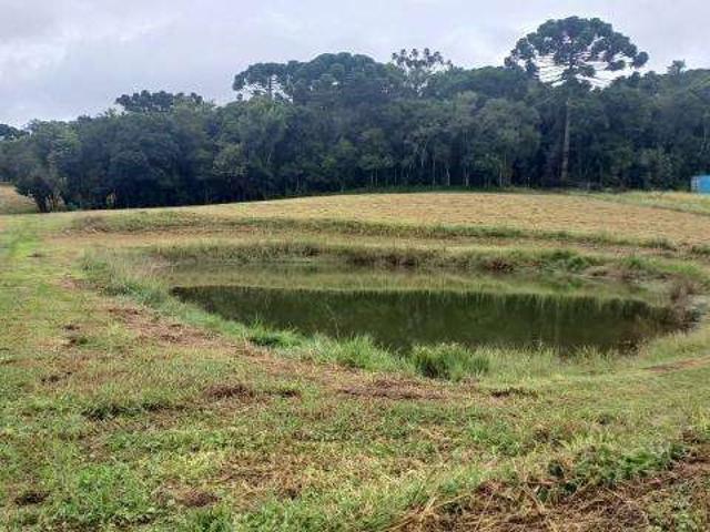 Sítio e chácara venda em Região Geográfica Imediata de Curitiba, Região Metropolitana de Curitiba